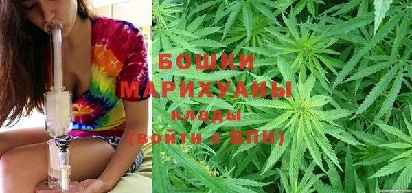 дурь Протвино