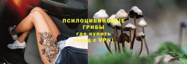 твердый Зеленокумск